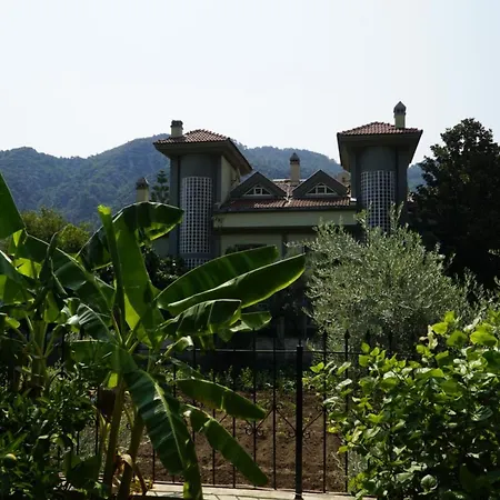 Mountain View * Μαρμαρίς